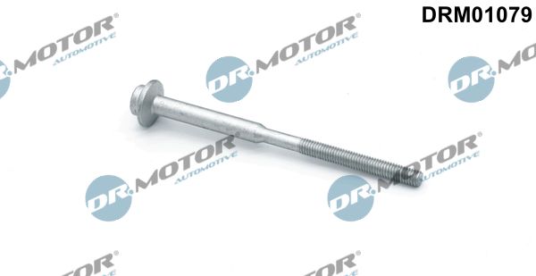Dr.Motor Automotive DRM01079 Screw, injection nozzle holder