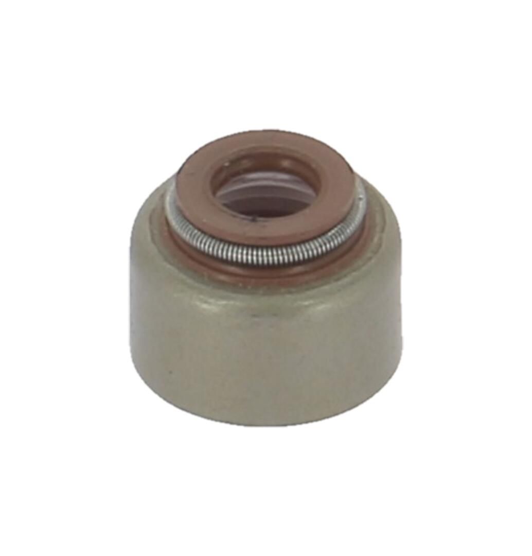 Dichtring, Ventilschaft