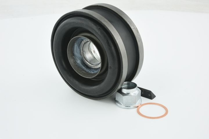 guolis, kardaninio veleno centrinis guolis