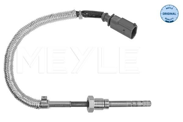 Sensor, Abgastemperatur