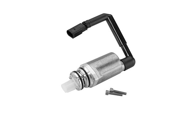 BorgWarner DS118574 - Pumpe, Lamellenkupplung (Allradantrieb)