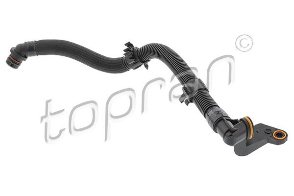 Schlauch, Zylinderkopfhaubenentl&uuml;ftung