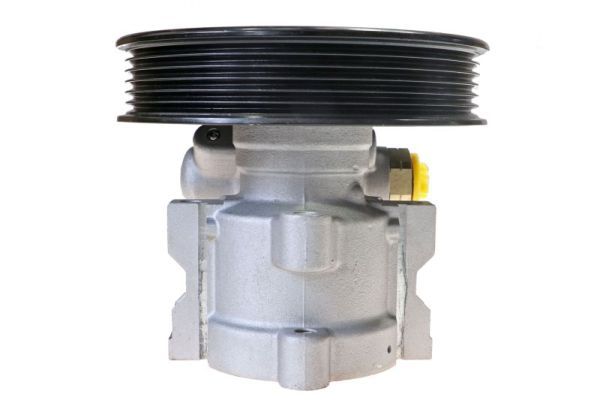 Hydraulikpumpe, Lenkung
