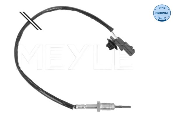 Sensor, Abgastemperatur