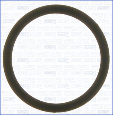 Dichtung, Thermostat