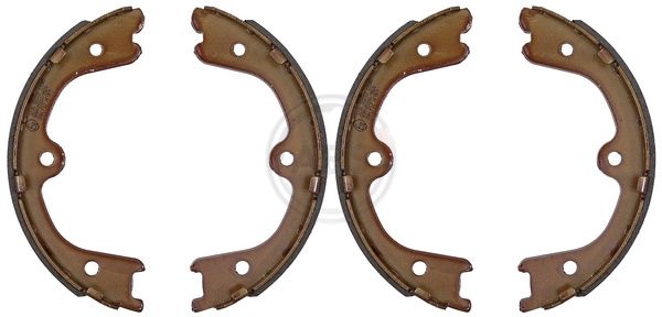 BRP BRS4030 Brake Shoe Set, parking brake