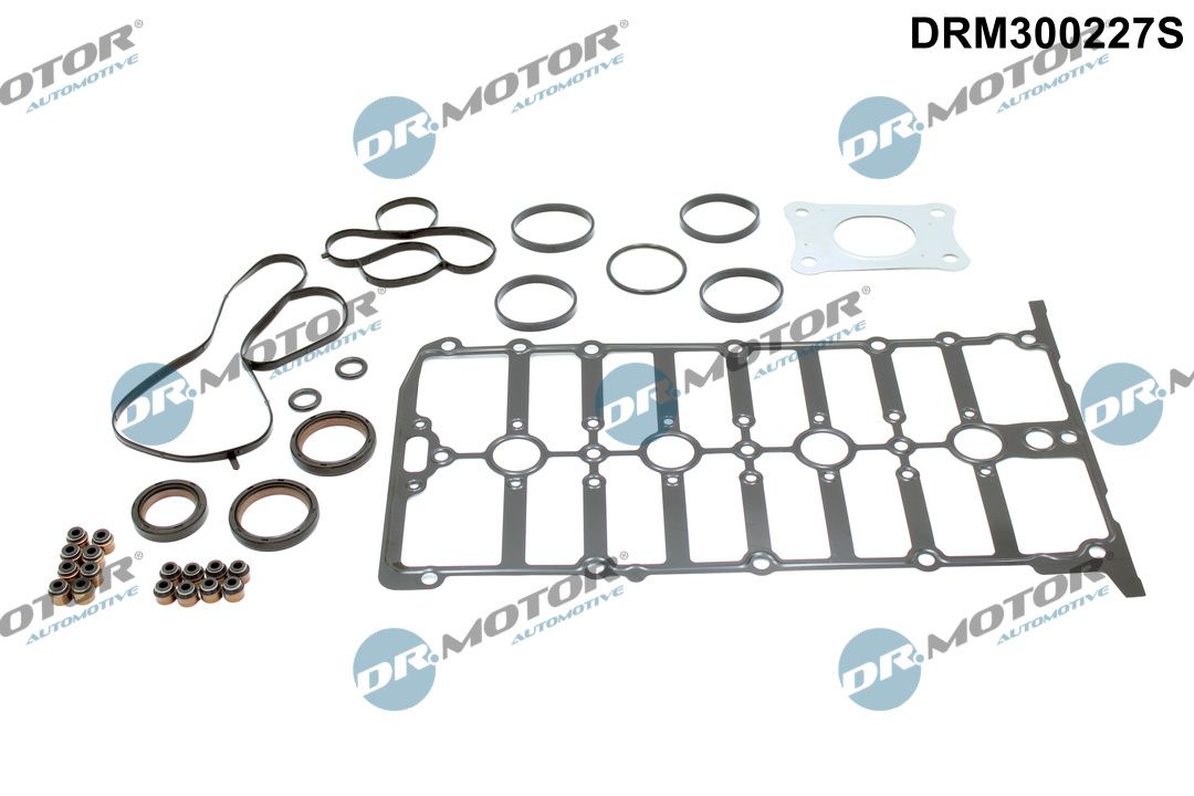 Dr.Motor Automotive DRM300227S - Dichtungssatz, Zylinderkopf