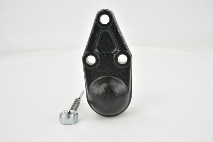 Šarnyras / girgždukas