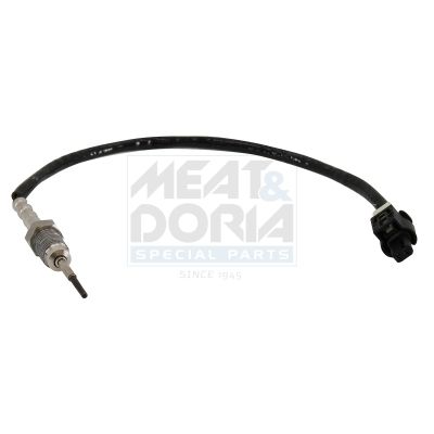 Sensor, Abgastemperatur