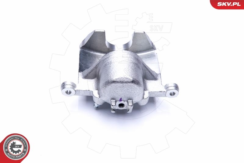 Brake Caliper 44SKV991