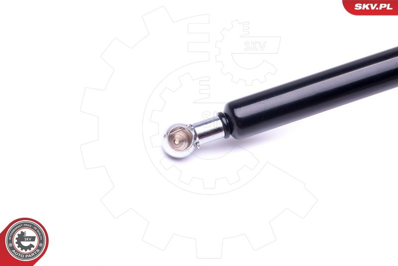 Gasfeder, Koffer-/Laderaum