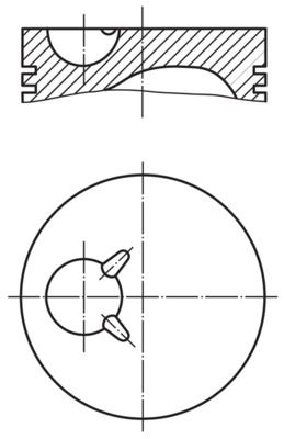 273 19 01 MAHLE dugattyú