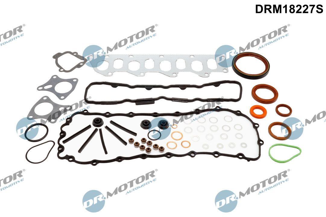 Dr.Motor Automotive DRM18227S Dichtungsvollsatz, Motor