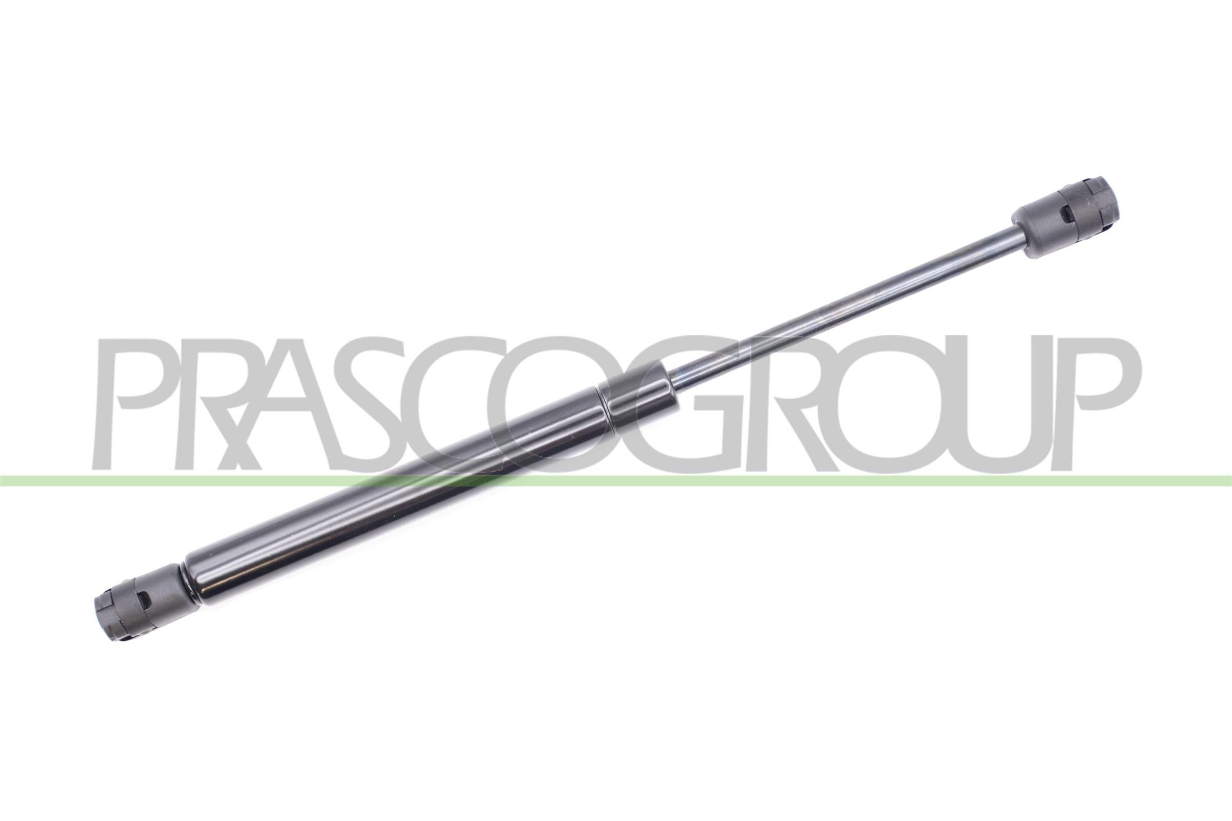 Gasfeder, Koffer-/Laderaum