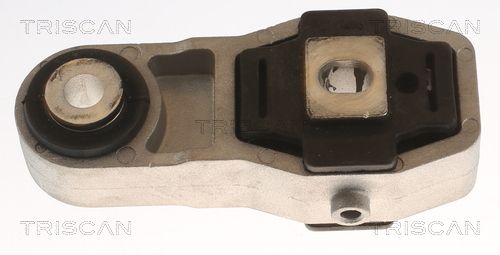 8505 65102 TRISCAN felfüggesztés, motor