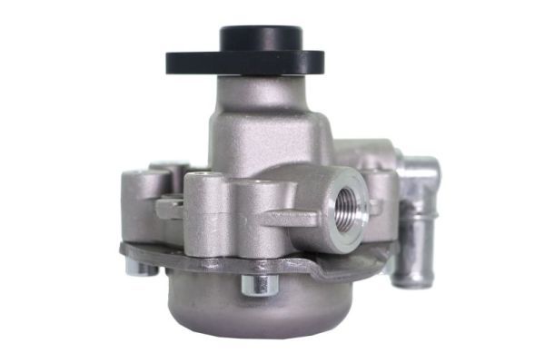 Hydraulikpumpe, Lenkung