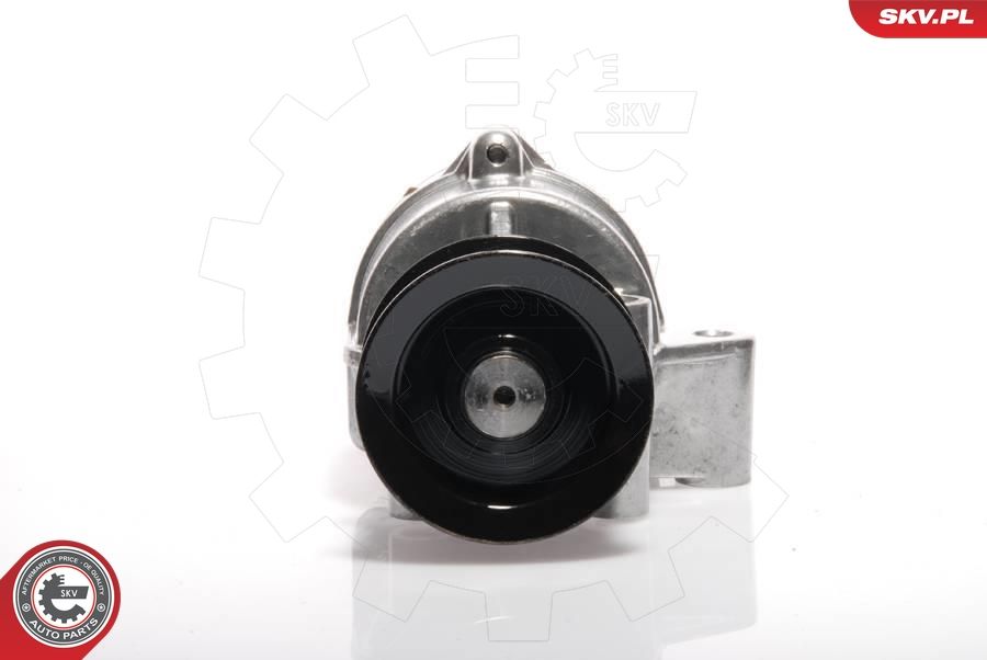 Unterdruckpumpe, Bremsanlage