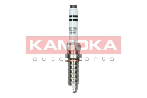 Spark Plug 7100038