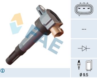 Ignition Coil 80483