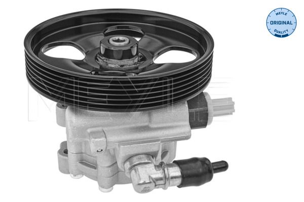 Hydraulikpumpe, Lenkung