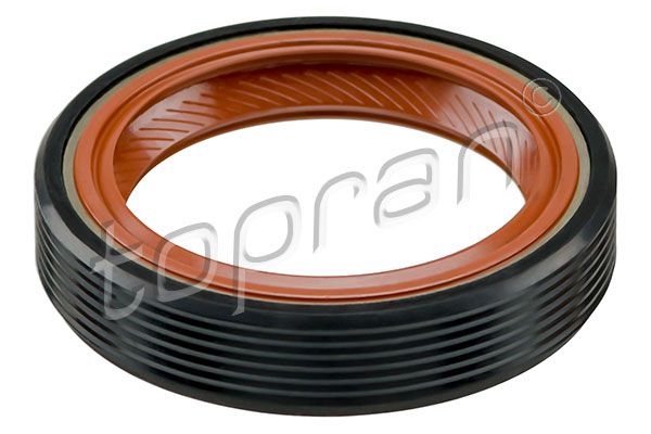 Shaft Seal, crankshaft 101 031