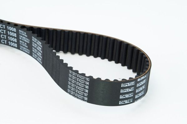 BELTPIC_CT1008.JPG