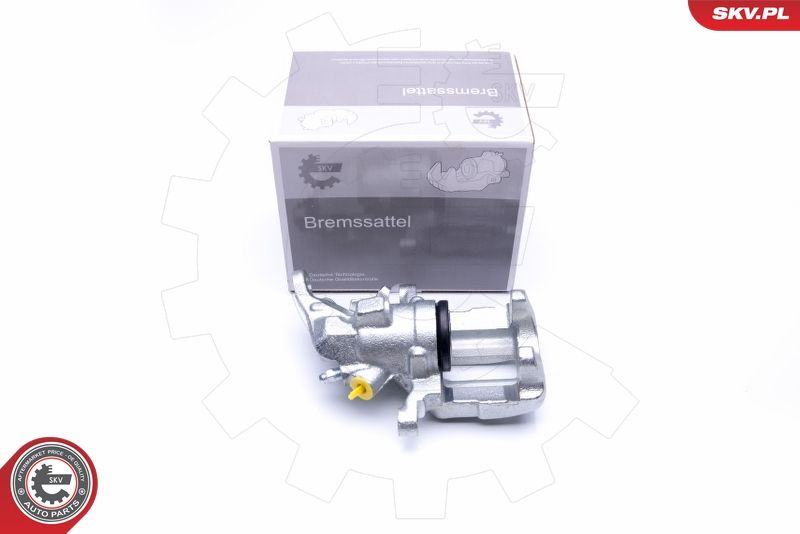 Brake Caliper 45SKV213