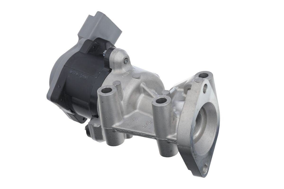 EGR VALVE_700411_03.JPG