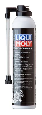 Montagepaste