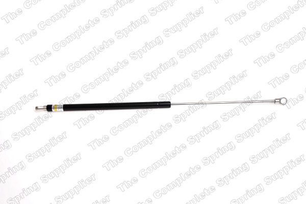 Gasfeder, Koffer-/Laderaum