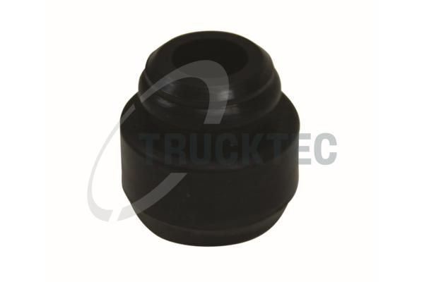 Halter, Einspritzventil