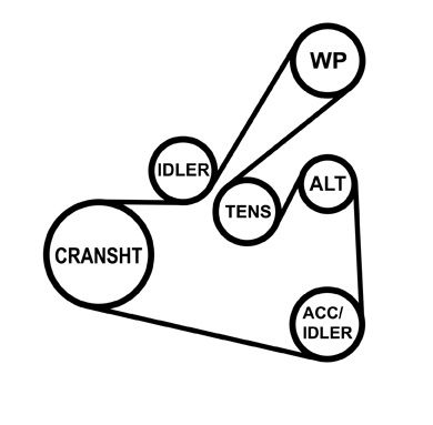 Keilrippenriemen Keilrippenriemen