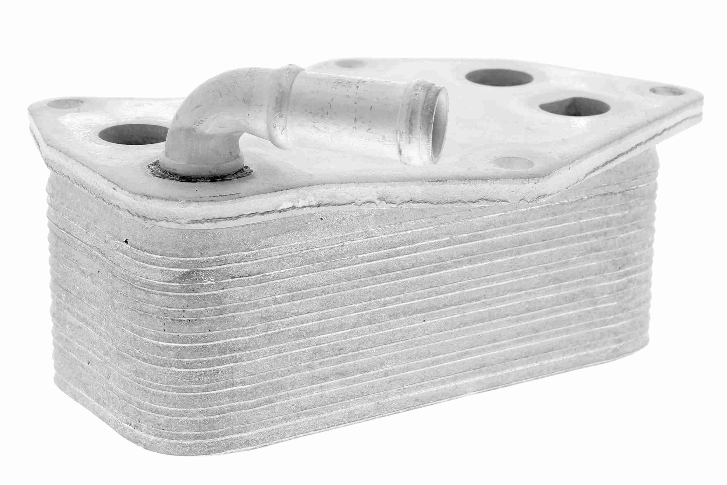 &Ouml;lk&uuml;hler, Motor&ouml;l