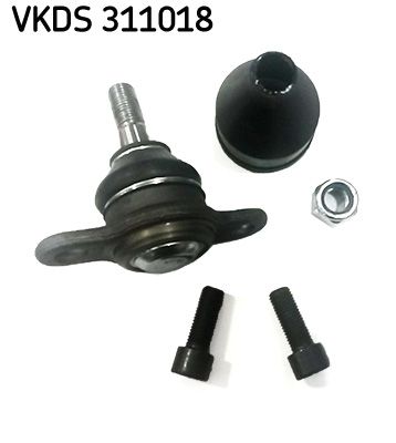 VKDS 311018.JPG