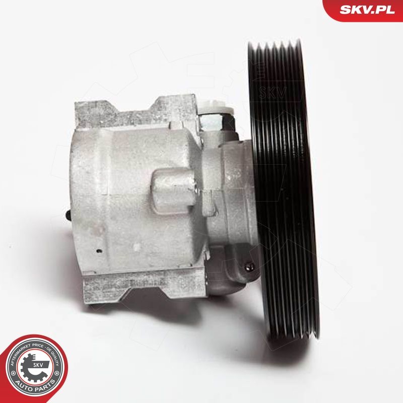 ESEN SKV 10SKV069 - Hydraulikpumpe, Lenkung