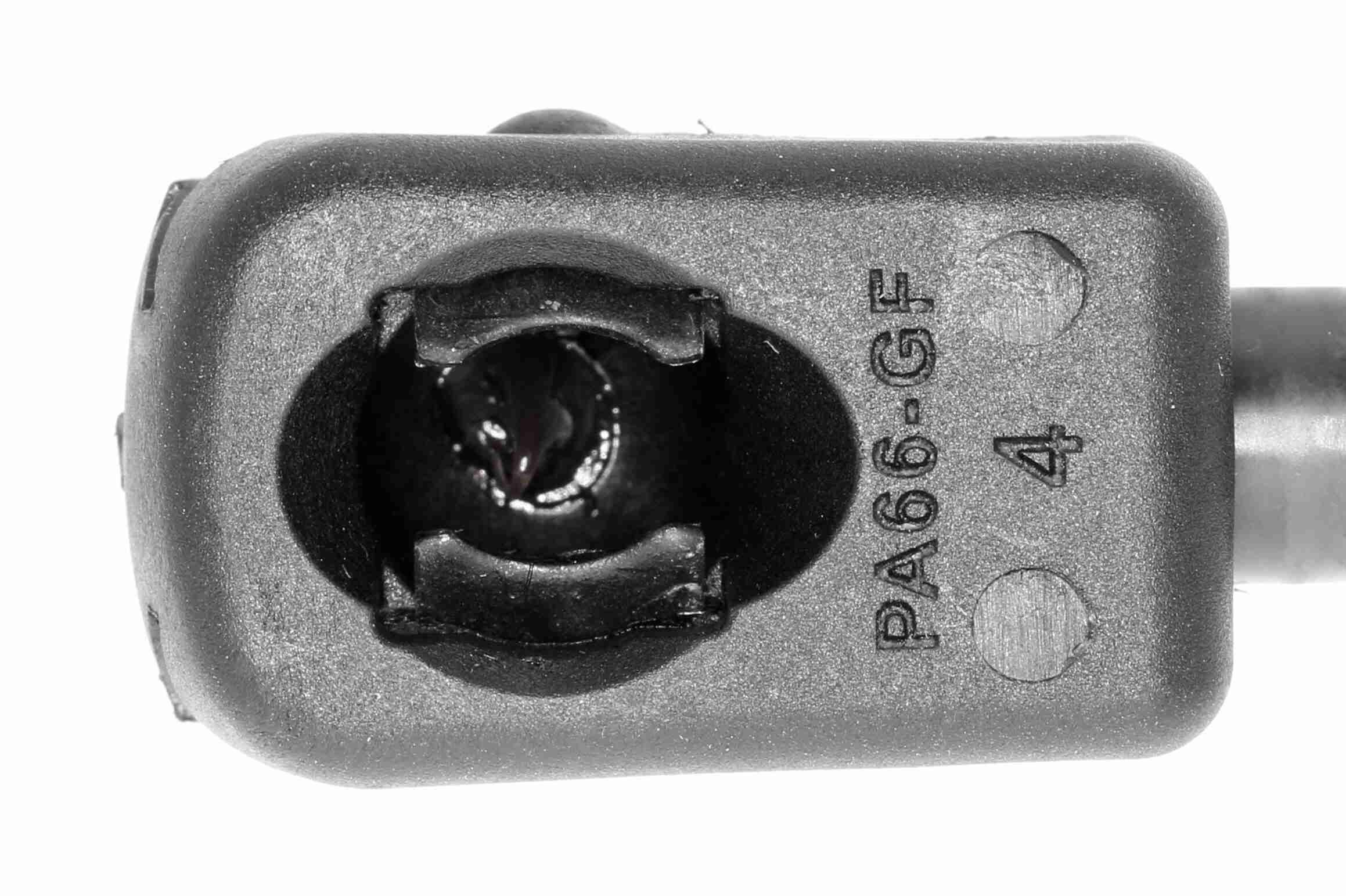 Gasfeder, Motorhaube Gasfeder, Motorhaube