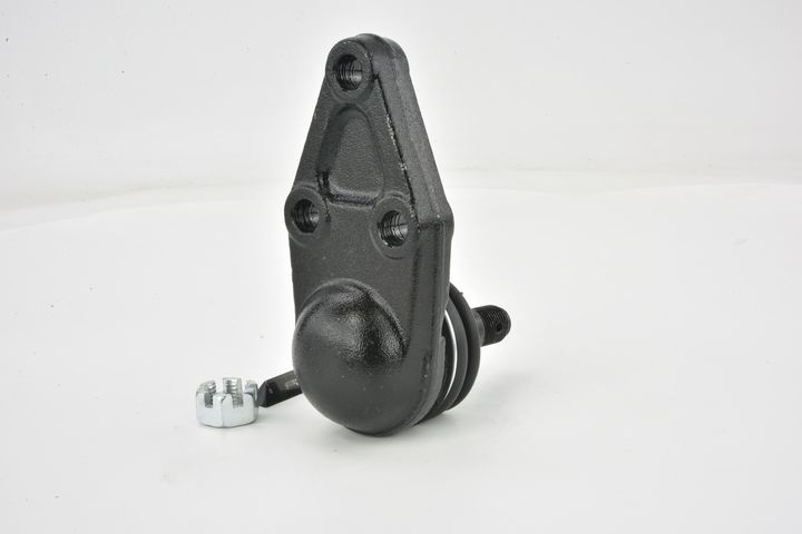 Šarnyras / girgždukas