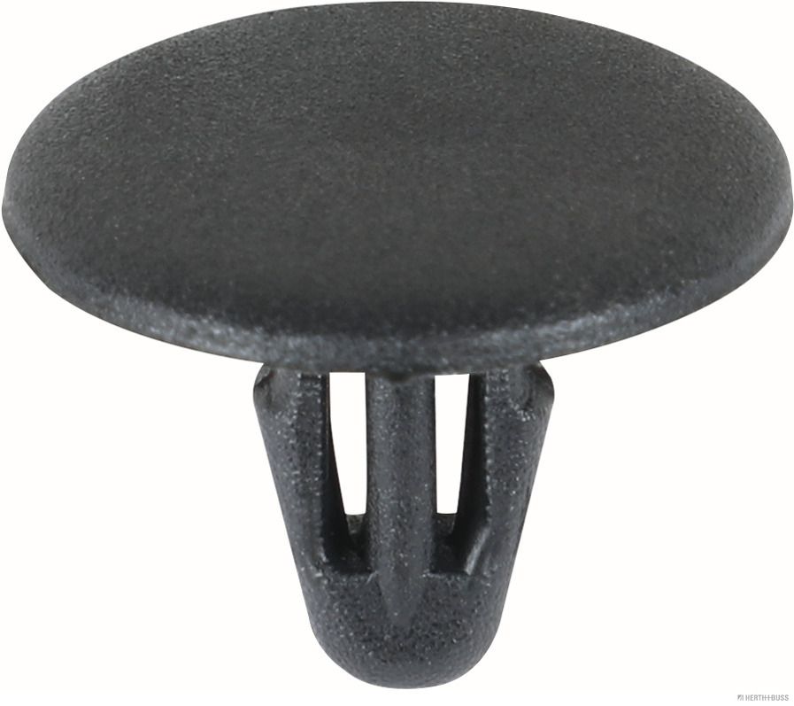 Clip, Zier-/Schutzleiste