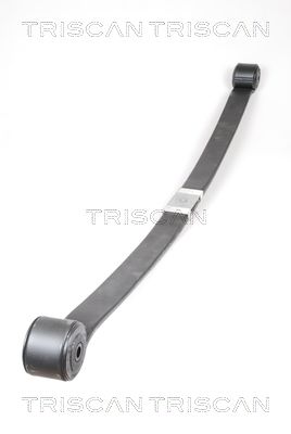 8765 16039 TRISCAN rugóköteg