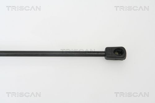 871025232_3.JPG