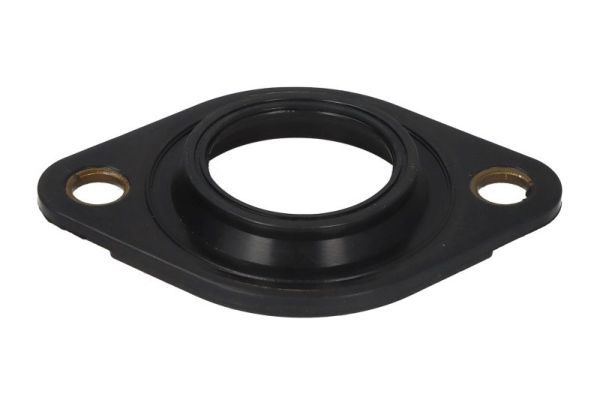 Engitech ENT250389/1 Dichtring, Einspritzventil