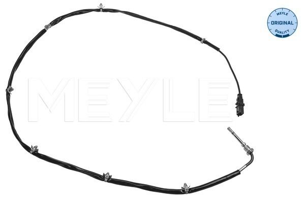 Sensor, Abgastemperatur