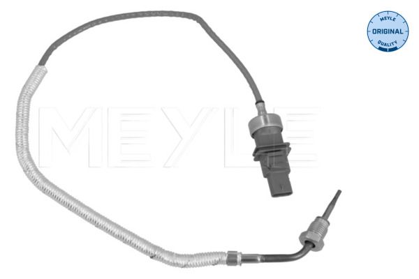 Sensor, Abgastemperatur