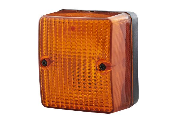 HELLA 2BA 996 012-061 Direction Indicator