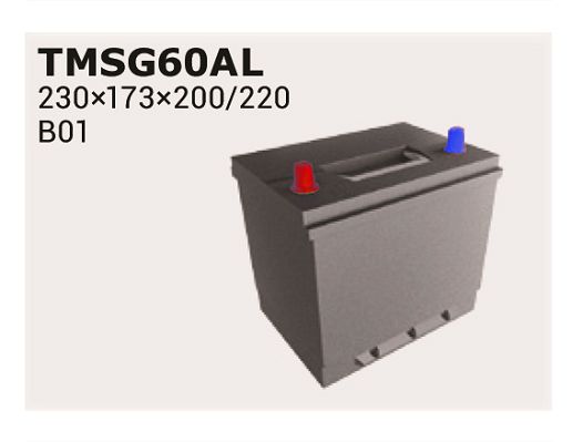 Starterbatterie