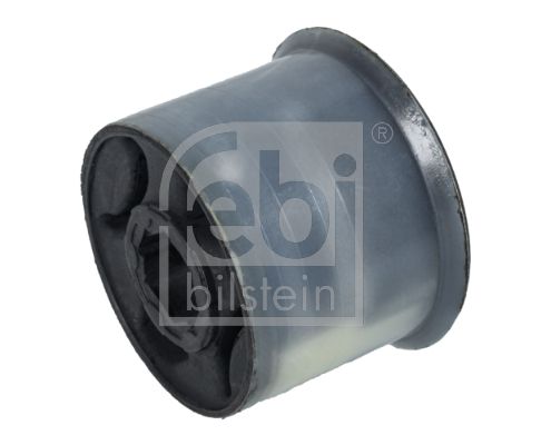 Mounting, control/trailing arm 31253