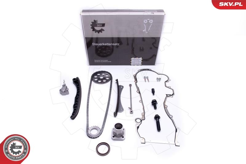 Timing Chain Kit 21SKV220