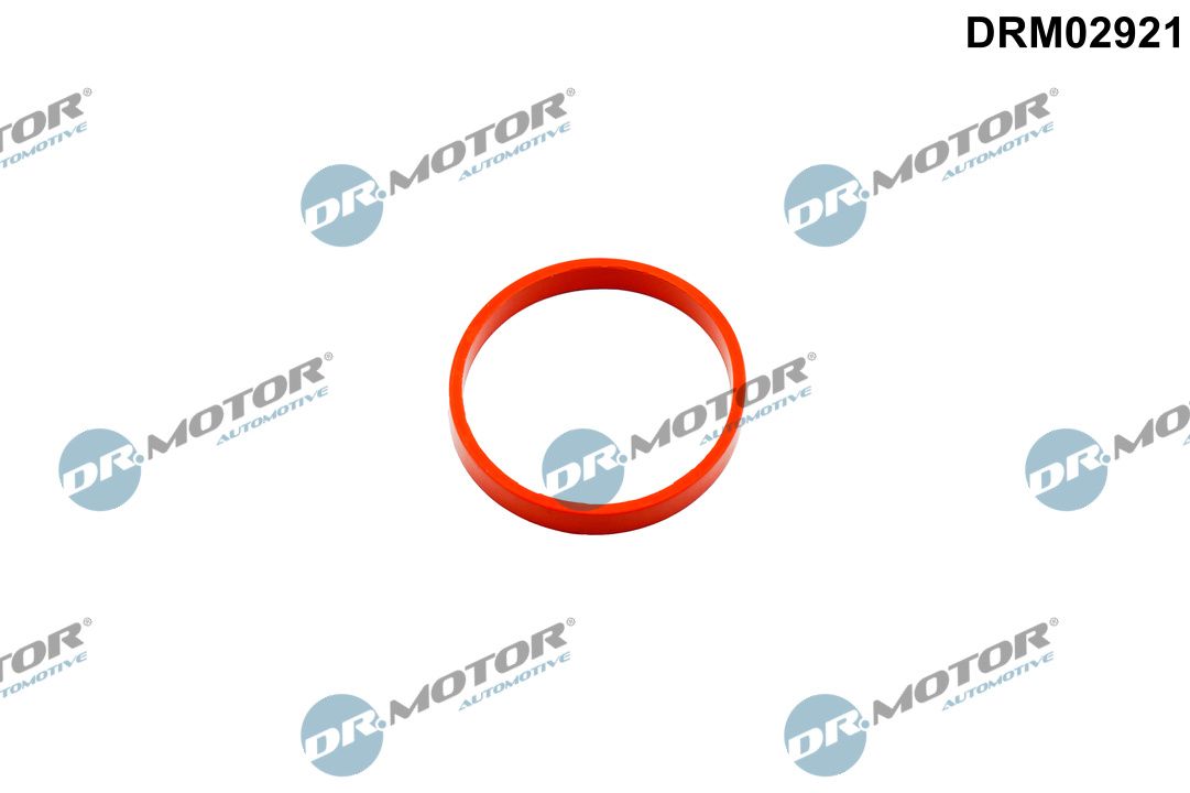 Dr.Motor Automotive DRM02921 Dichtring, Ladeluftschlauch