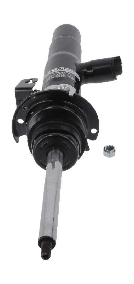 amortizatorius