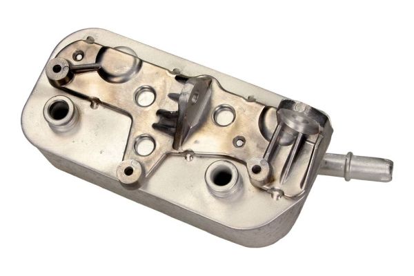 MAXGEAR 14-0023 Oil Cooler, engine oil